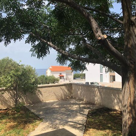 M A Apartments Kožino Dış mekan fotoğraf